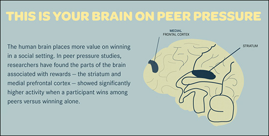 The Brain on Peer Pressure